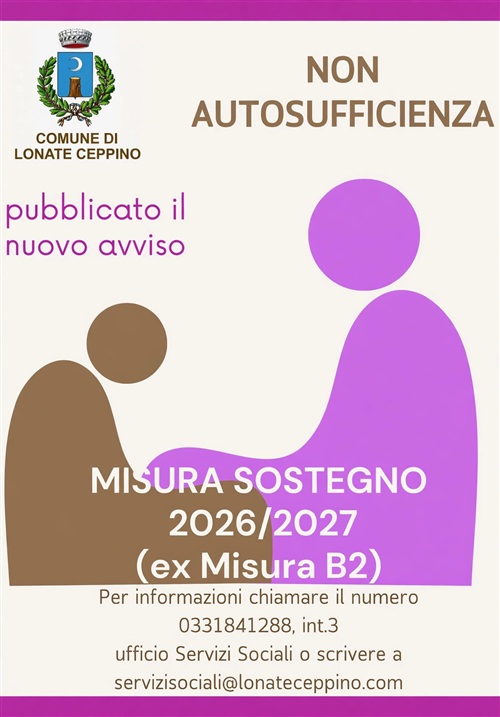 Fondo non autosufficienza 2026 - Misura sostegno